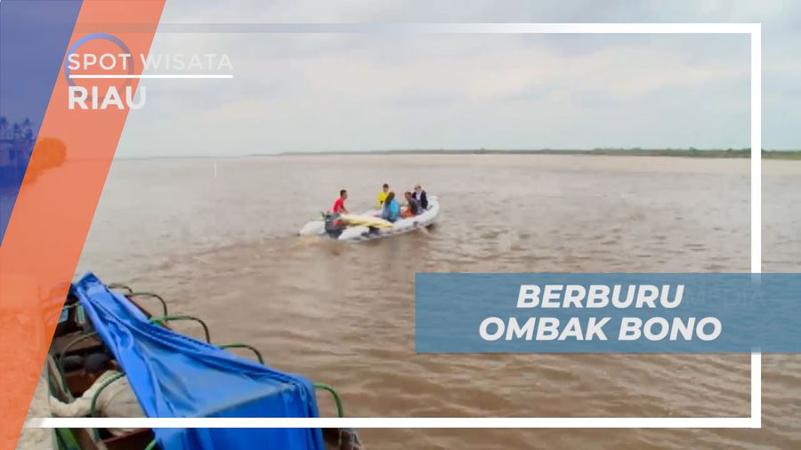 Berburu Ombak Bono di Sungai Kampar yang Super Unik, Riau