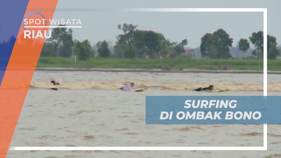 Sensasi Taklukkan Ombak Bono Sungai Kampar Dengan Papan Surfing, Riau