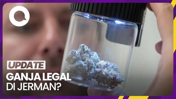 Alasan Pemerintah Jerman Legalkan Ganja untuk Pribadi