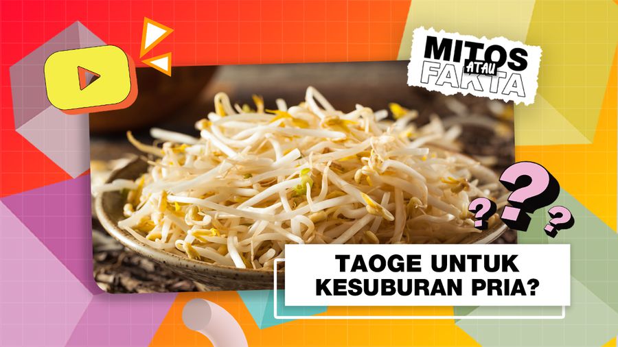 Mitos atau Fakta: Makan Taoge Bantu Tingkatkan Kesuburan Pria