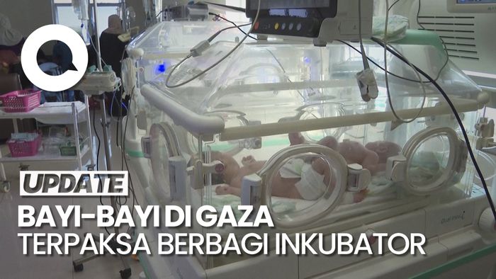 RS di Gaza Penuh, Bayi-bayi Terpaksa Berbagi Inkubator
