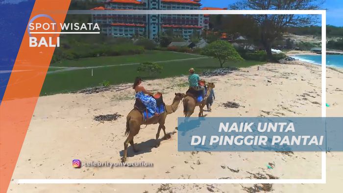 Menikmati Liburan, Menyusuri Tepi Pantai Naik Unta, Bali
