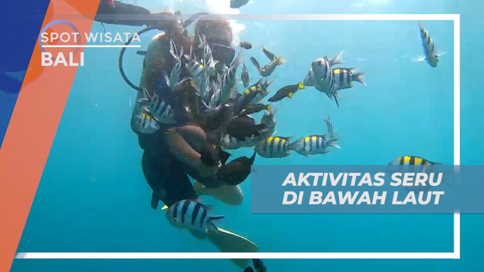 Scuba Diving, Melakukan Aktivtas Bawah Laut yang Super Seru, Bali