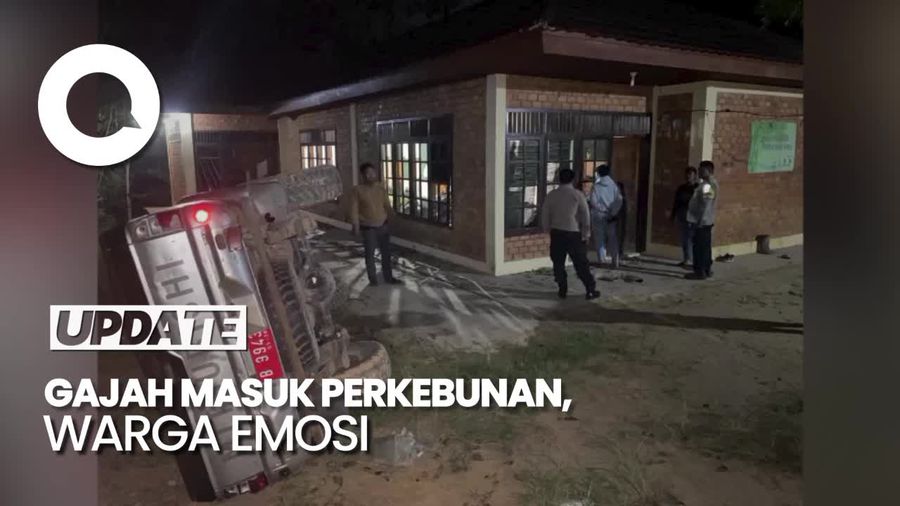 Kantor BKSDA Tanjab Barat Diserang Warga gegara Gajah Masuk Perkebunan