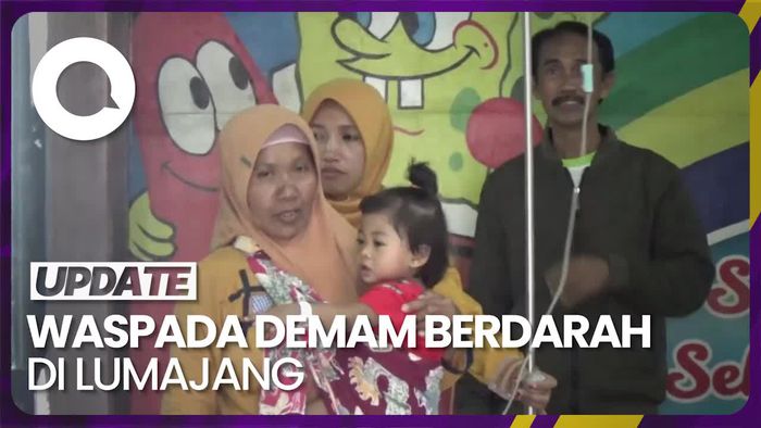 Lumajang Umumkan Kenaikan 119 Kasus Demam Berdarah