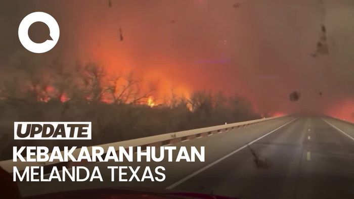 Penampakan Kebakaran Hutan di Texas, Jalan Sampai Ditutup