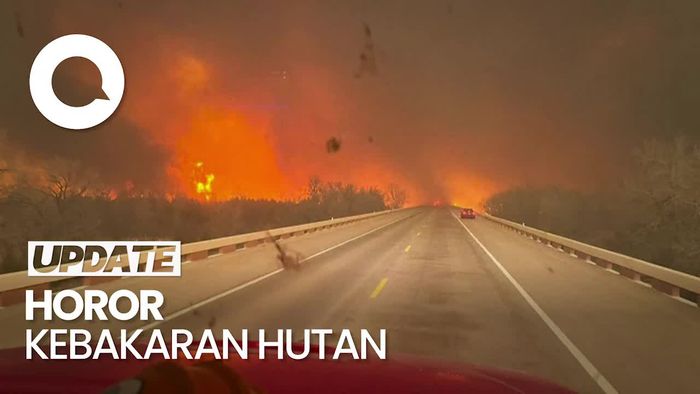 Penampakan Kebakaran Hutan di Texas yang Makin Meluas