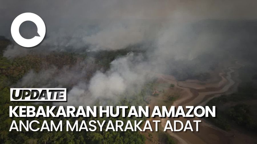 Hutan Amazon Terbakar, Masyarakat Adat Terancam