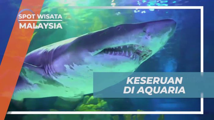 Menyusuri Terowongan Sepanjang 90 Meter Dengan Pemandangan Ikan Cantik, Aquaria Malaysia