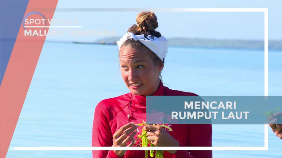 Mencari Rumput Laut di Pantai Nuhatan Maluku Tenggara 