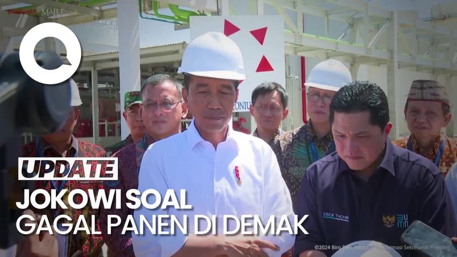 Jokowi Harap Gagal Panen di Demak Tak Kurangi Produksi Pertanian RI