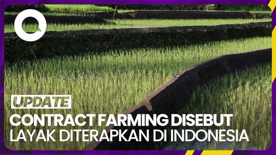 Pengamat Sebut Contract Farming Layak Diterapkan di Indonesia