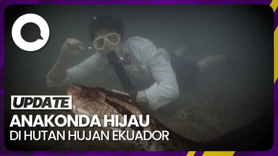 Spesies Baru Anakonda Ditemukan, Panjangnya 26 Kaki