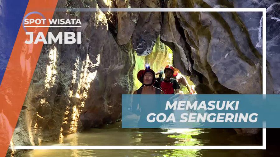 Melihat Kawanan Kelelawar yang Bersarang di Goa Sengering Jambi