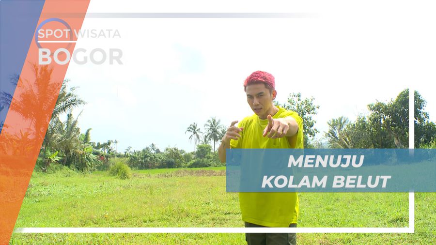 Membelah Hamparan Sawah Hijau Menuju Lokasi Kolam Belut, Bogor