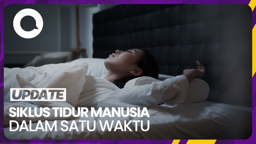 Mengenal Ragam Siklus Tidur Manusia