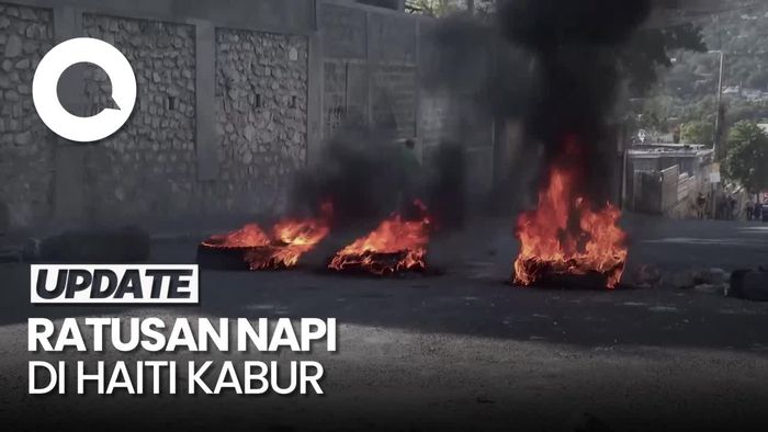 Ratusan Napi di Haiti Kabur Akibat Serbuan Geng Bersenjata, 3 Orang Tewas