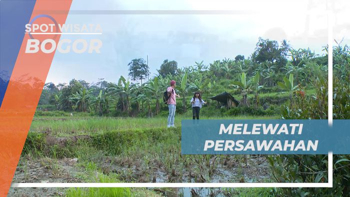 Menikmati Perjalanan Seru Melewati Hamparan Persawahan Hijau yang Sejuk, Bogor