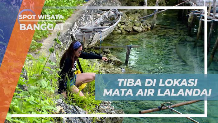 Sampai di Lokasi Mata Air Lalandai, Mencari Pohon Untuk Misi Selanjutnya, Banggai