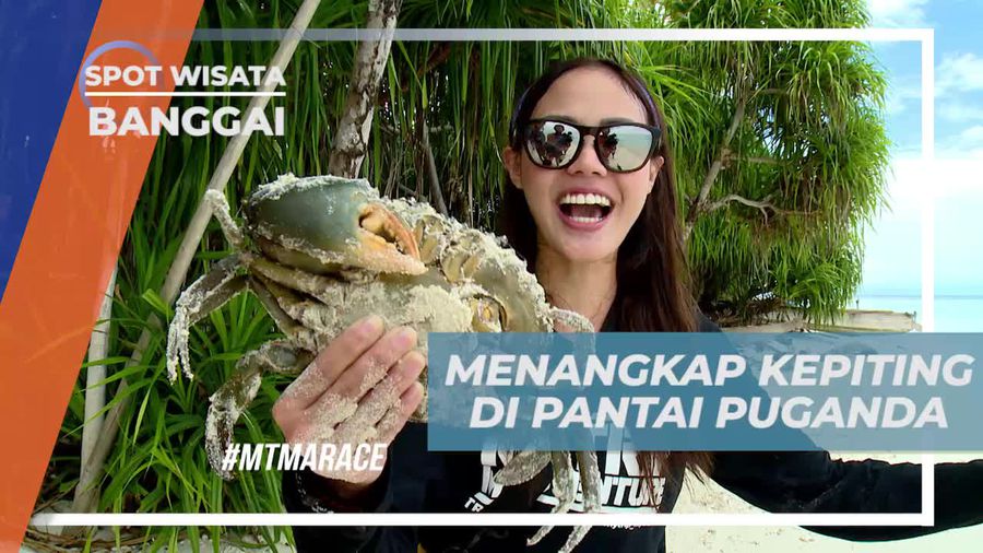 Beradu Cepat Menangkap Kepiting di Pantai Puganda Banggai 