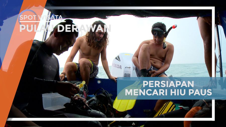 Persiapan Sebelum Mencari Keberadaan Hiu Paus, Kalimantan Timur