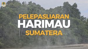 Ambar Goldsmith dan Beru Situtung Kembali ke Habitat Alaminya di Taman Nasional Gunung Leuser