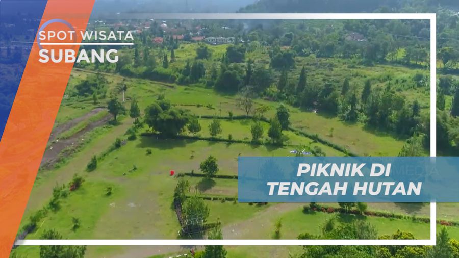 Mengisi Liburan, Piknik  Seru Menikmati Suasana Sejuk di Tengah Hutan, Subang
