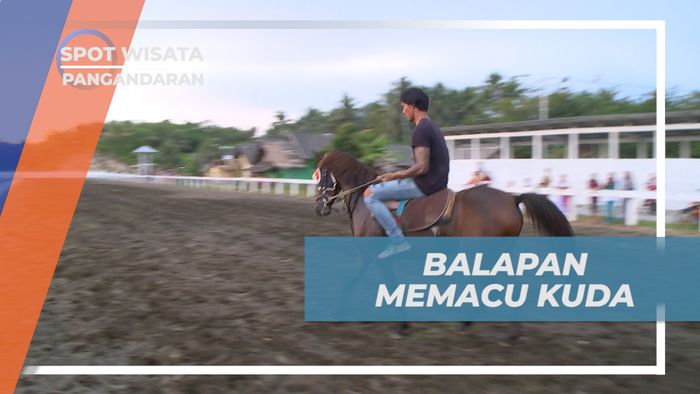 Serunya Adu Cepat Balapan Memacu Kuda di Legok, Pangandaran