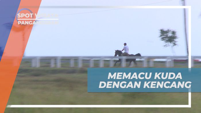 Sensasi Seru Memacu kuda Dengan Kencang di Lintasan Balap, Pangandaran