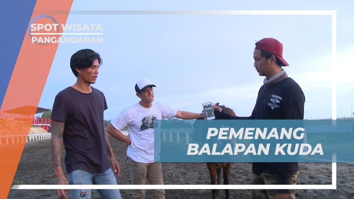 Pengalaman Seru, Memacu Kuda Layaknya Joki Balap Kuda, Pangandaran