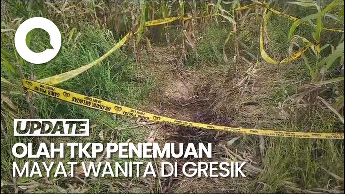 Polisi Gelar Olah TKP Penemuan Mayat Wanita Setengah Telanjang di Gresik