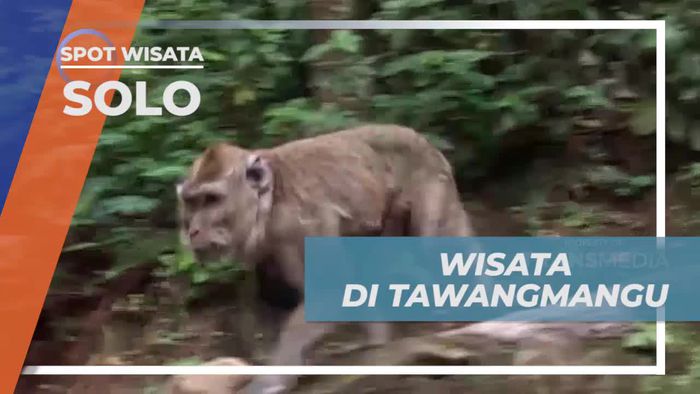 Berkunjung ke Taman Wisata Tawangmangu, Salah Satu Destinasi Wisata Favorit di Solo