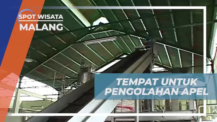 Memakai Pakaian Khusus Untuk Masuk ke Tempat Pengolahan Apel, Kota Malang