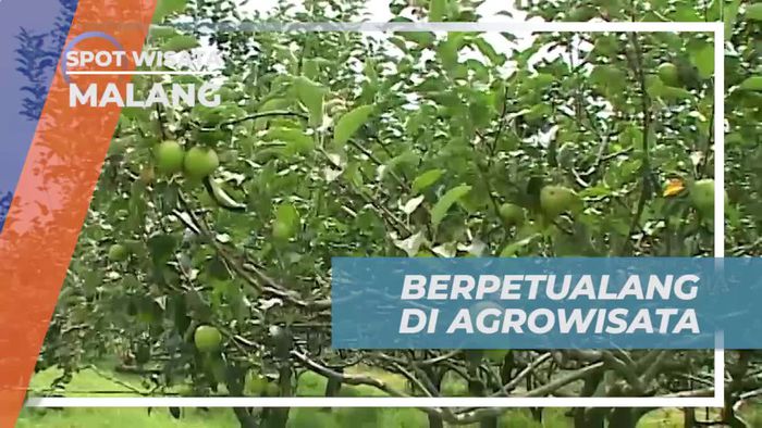 Berpetualang Seru di Kota Apel Malang, Berkunjung ke Agrowisata Kusuma