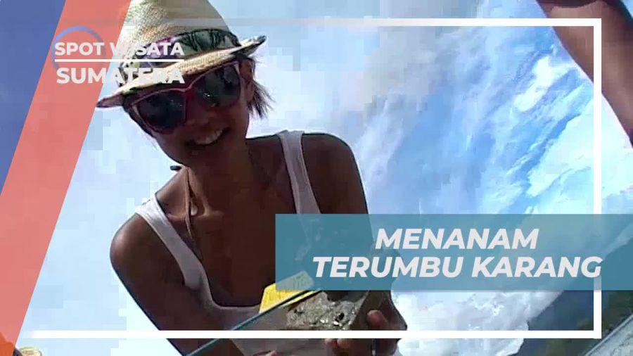 Melestarikan Alam Dengan Ikut Menanam Terumbu Karang, Sumatera Barat