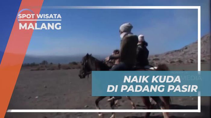 Keseruan Berkuda di Padang Pasir Kota Malang