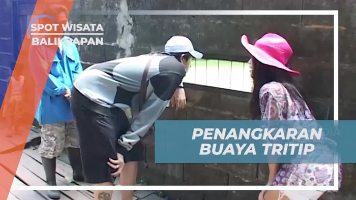 Singgah ke Penangkaran Tritip, Melihat Aneka Buaya Berbagai Ukuran, Balikpapan