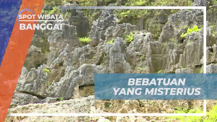 Melihat Batu Misterius Menyerupai Singgasana di Danau Lemelu Banggai