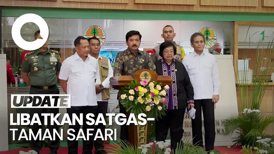 KLHK Terjunkan Tim Pemburu Harimau yang Serang Warga Lampung
