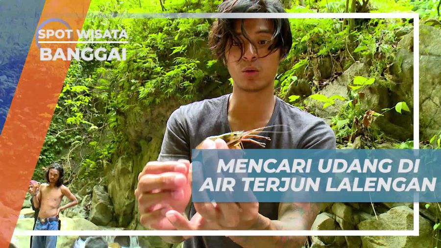 Mencari Udang di Air Terjun Lalengan Banggai