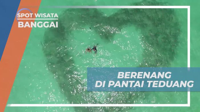 Berenang di Pantai Teduang, Dikejutkan Keindahan Terumbu Karang Berbentuk Hati, Banggai