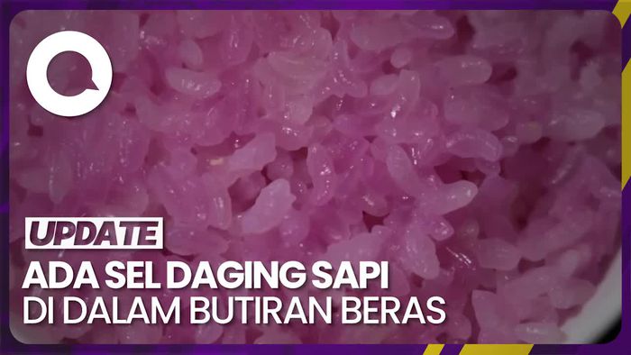 Peneliti di Korsel Bikin Inovasi Produk Daging dari Laboratorium