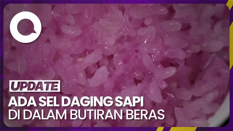Peneliti di Korsel Bikin Inovasi Produk Daging dari Laboratorium