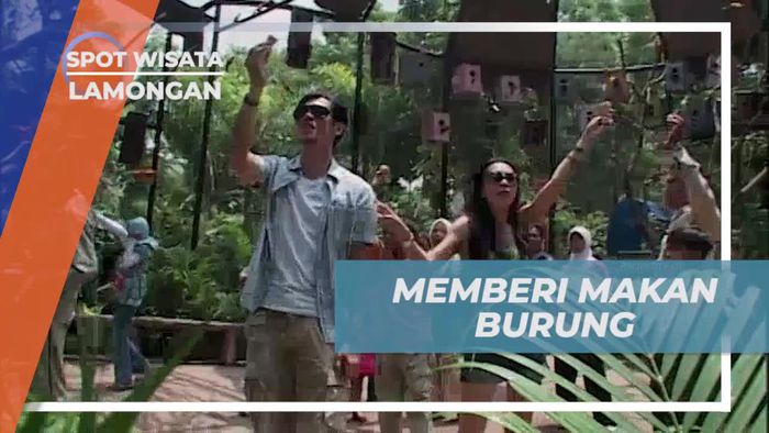 Momen Lucu Memberi Makan Burung di Lamongan 