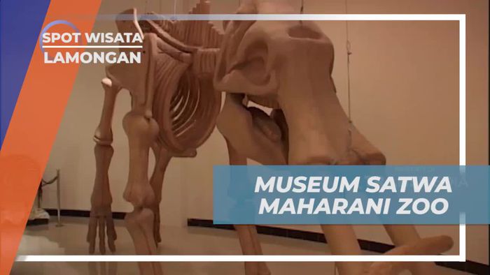 Melihat Fosil Hewan Purba di Museum Satwa Lamongan 