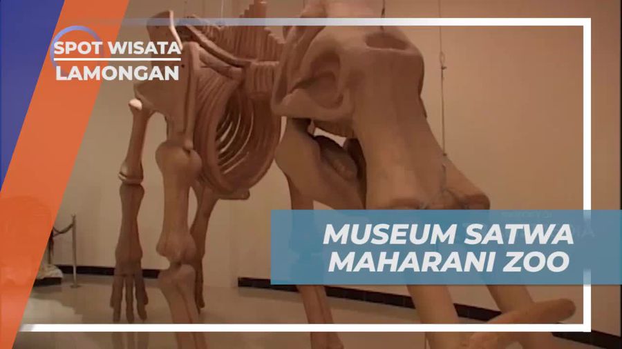 Melihat Fosil Hewan Purba di Museum Satwa Lamongan 