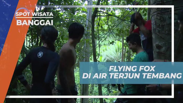 Flying Fox Asik di Air Terjun Tembang Banggai 