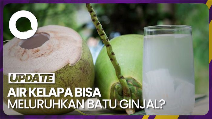 Kata Dokter soal Air Kelapa Disebut Bisa Meluruhkan Batu Ginjal