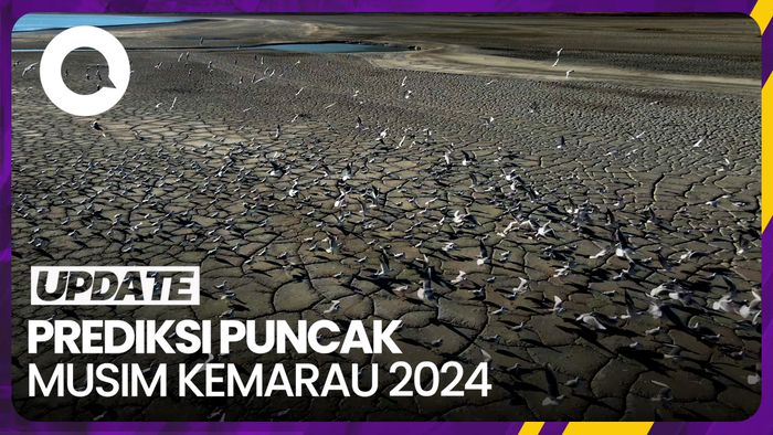 Puncak Kemarau 2024 Diprediksi Terjadi Juli-Agustus