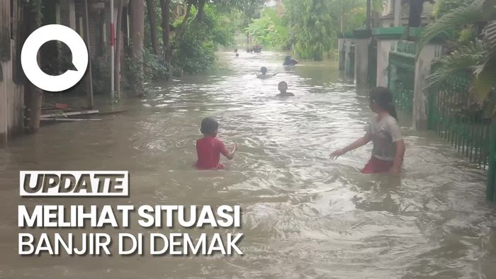 Banjir di Demak Gegara Tanggul Jebol, Pemkab Fokus Evakuasi Warga